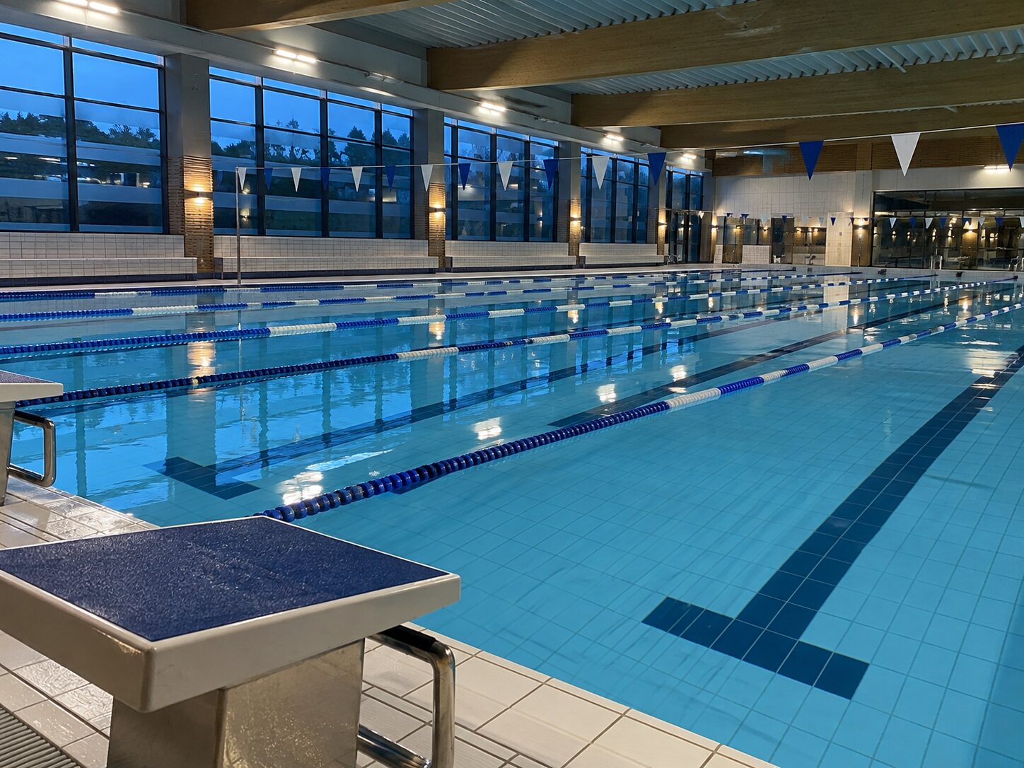Piscine couverte vide au petit matin, lignes d'eau tendues